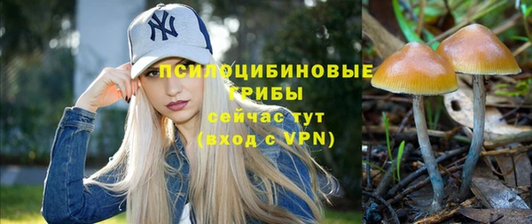 не бодяженный Горнозаводск