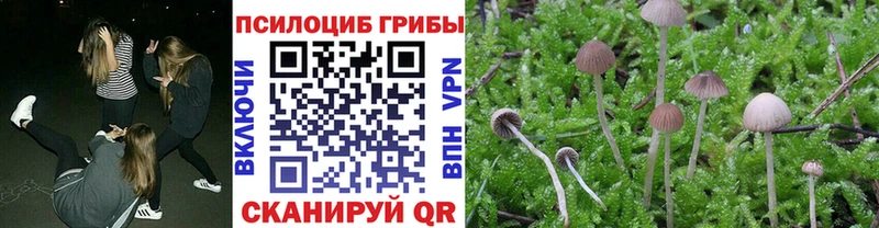 купить наркоту Жигулёвск Галлюциногенные грибы мицелий
